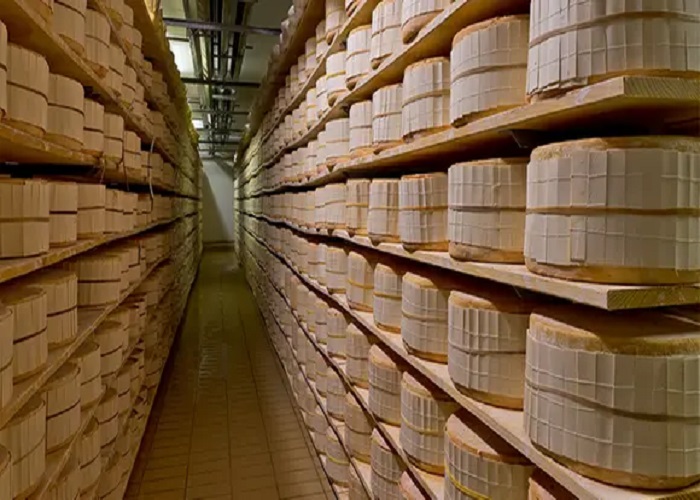 Gorgonzola DOP