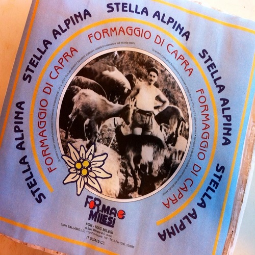Stella alpina