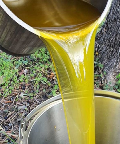 Olio Beraldi